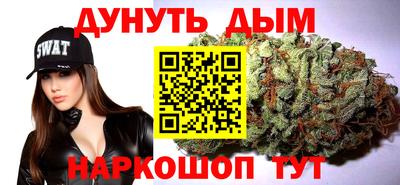 крисы Нальчик